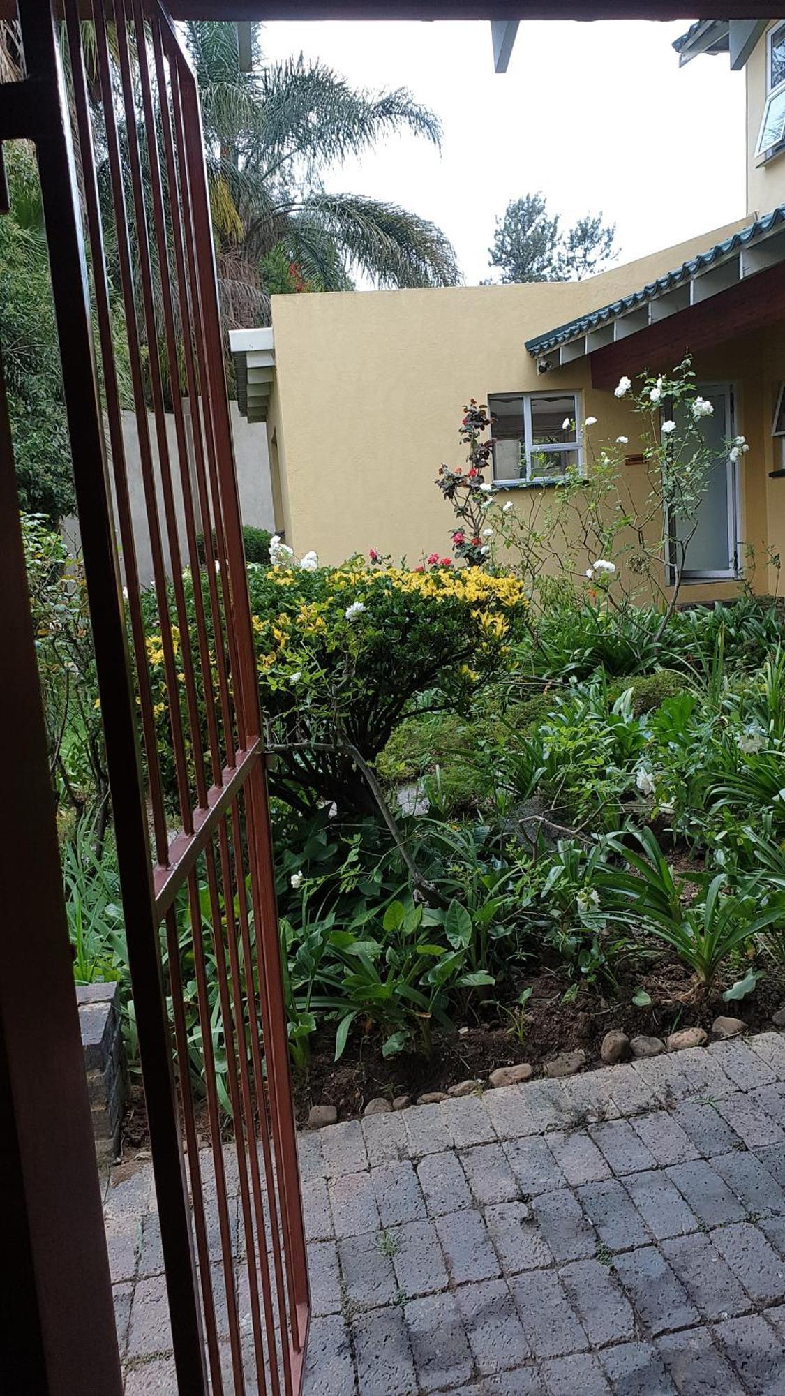 Matina Guest House Γιοχάνεσμπουργκ Δωμάτιο φωτογραφία